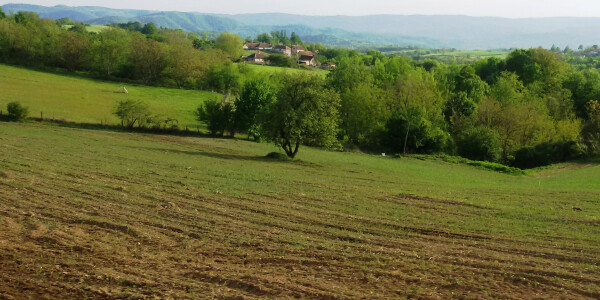 Zemljiste Fotoprilozi Agroklub