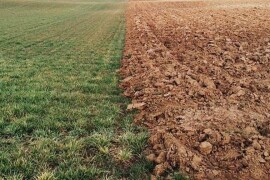 Kupujem poljoprivredno zemljište