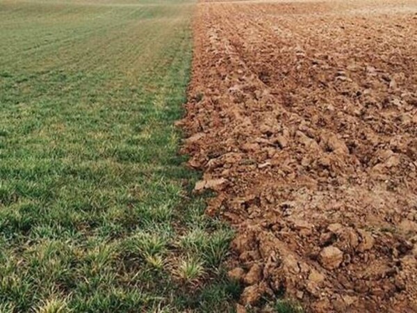 Kupujem poljoprivredno zemljište