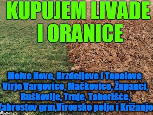 Kupujem livade i oranice u Virju, Molvama i Novigradu Podravskom