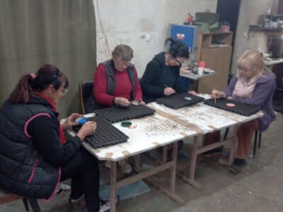 PAULOVNIJA SADNICE SHAN TONG