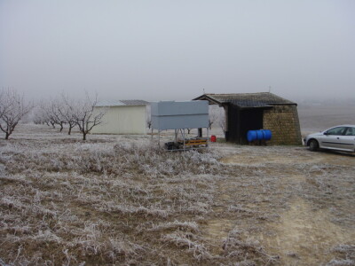 Voćnjak i pripremljeno zemljište