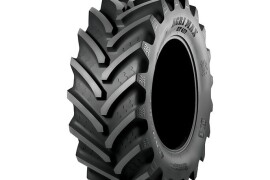 GUMA 650/65R38 AGRIMAX RT-657 163D/166A8 TL BKT