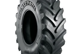 GUMA 650/85R38  AGRIMAX FORTIS 173D/176A8 TL BKT