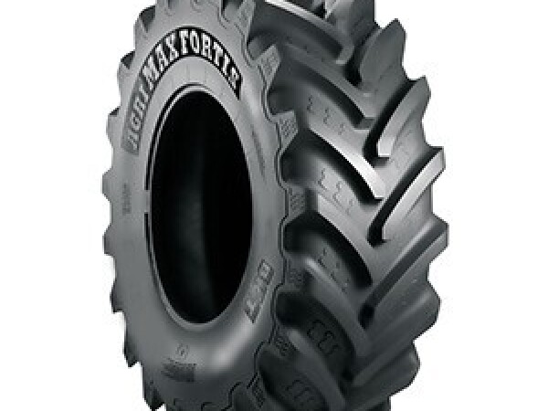 GUMA 650/85R38  AGRIMAX FORTIS 173D/176A8 TL BKT