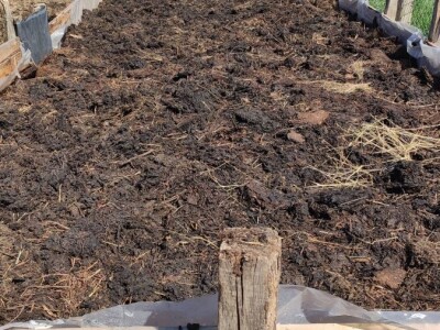 Glistenjak organsko ovčije djubrivo