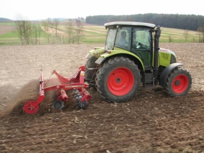 Kratka tanjurača - Horsch Joker