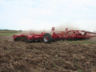 Kratka tanjurača - Horsch Joker