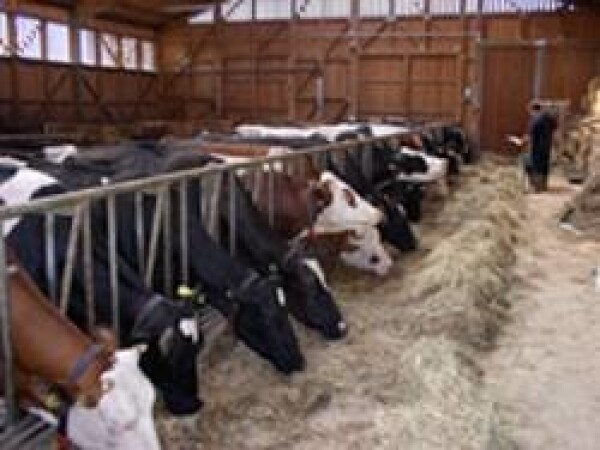 Poljoprivredni/a tehničar/ka stočar/ica