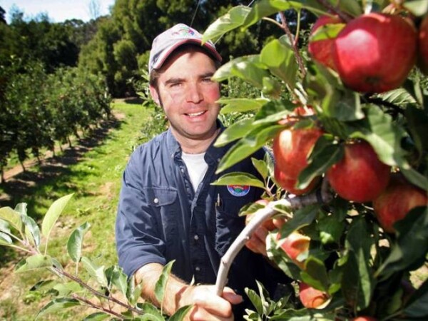 Voćar/ica - vinogradar/ka-vinar/ka