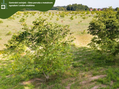 5.5 ha voćnjaka, 1500 stabala oraha, EKO OPG, osigurane polj.potpore