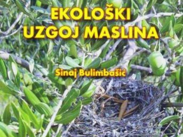 Mila Bulimbašić Botteri