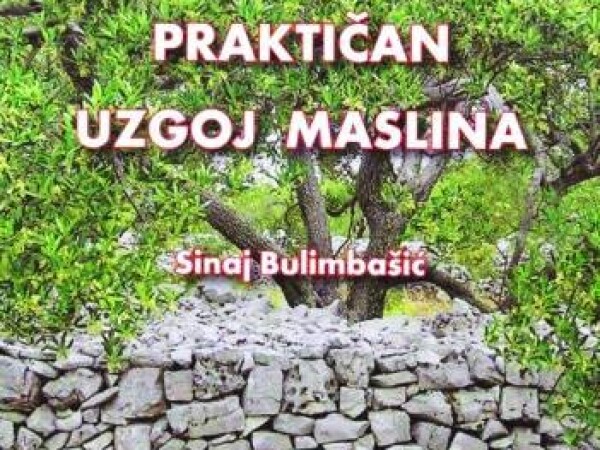 Mila Bulimbašić Botteri