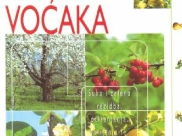 Mila Bulimbašić Botteri