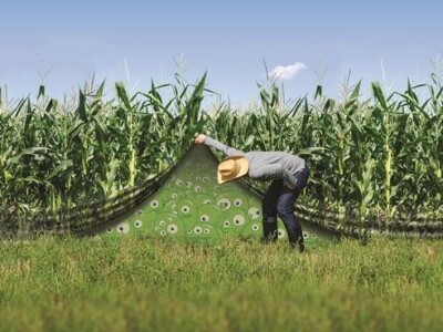 PHILAZONIT - Cjepivo za tlo