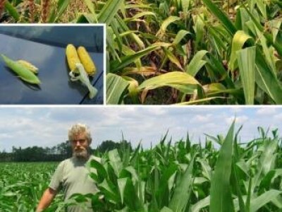 PHILAZONIT - Cjepivo za tlo