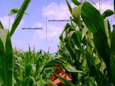 PHILAZONIT - Cjepivo za tlo