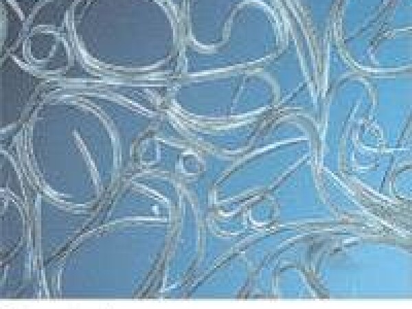 Nemaflor® - Nematode (Steinernema feltiae) za suzbijanje kalifornijskog tripsa