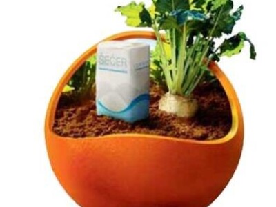 STEFFKA KWS Z tip Rz/Cr - sjeme šećerne repe