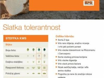 STEFFKA KWS Z tip Rz/Cr - sjeme šećerne repe