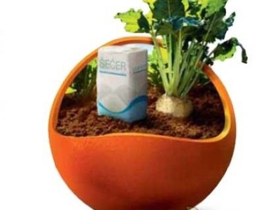 NATURA KWS NZ tip, R/Cr - sjeme šećerne repe