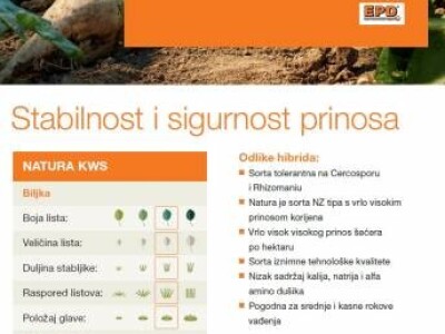 NATURA KWS NZ tip, R/Cr - sjeme šećerne repe