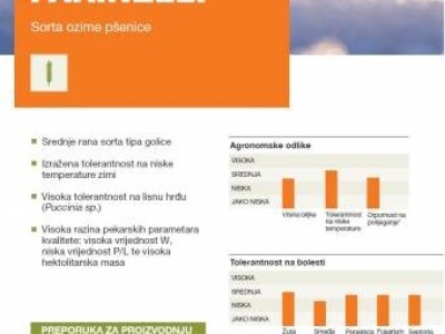 KWS FARINELLI - sorta ozime pšenice