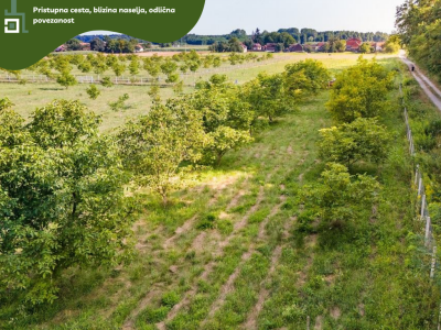 5.5 ha voćnjaka, 1500 stabala oraha, EKO OPG, osigurane polj.potpore