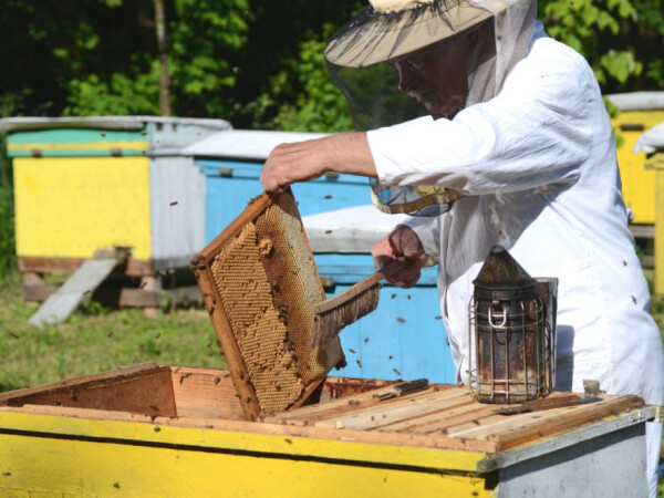 Program osposobljavanja za poslove pčelara