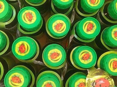 LJEŠNJAK očišćen prodajem