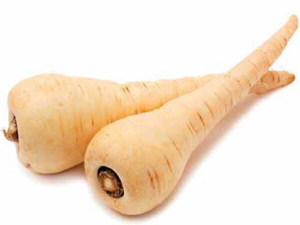 Sjeme pastrnjaka Bielas