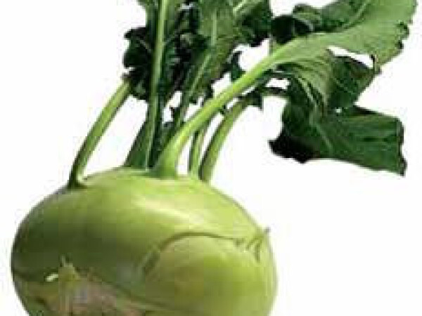 Sjeme Korabice - Quick Star F1