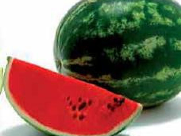 Sjeme lubenice Odyssey F1