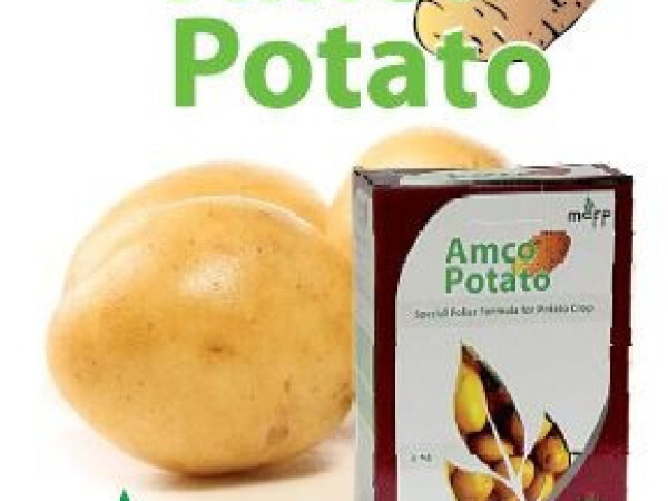 AMCO Potato – prihrana za krumpir