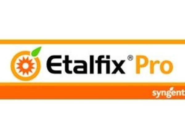 Etalfix Pro