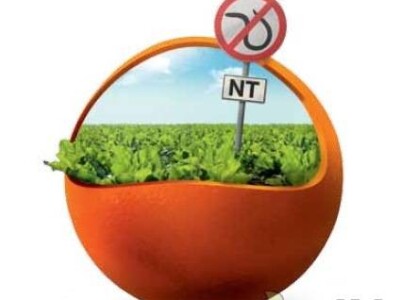 Bruna KWS - Z tip, Rz/Ne/Cr - sjeme šećerne repe