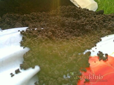 Organsko gnojivo - lumbri humus