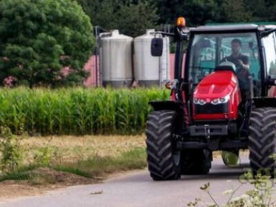 Traktor Massey Ferguson MF 5613