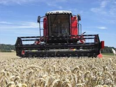 Kombajn Massey Ferguson Activa MF 7244