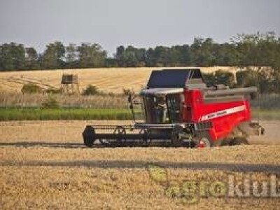Kombajn Massey Ferguson MF 7345 S
