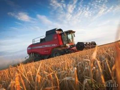 Kombajn Massey Ferguson Beta MF 7370
