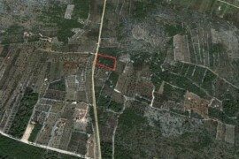 Poljoprivredno zemljište (P1) 6.607m2 u zaleđu Vodica