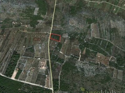 Poljoprivredno zemljište (P1) 6.607m2 u zaleđu Vodica