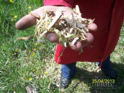 DROBILICA GRANJA, KARDANSKA - PROMJER USITNJAVANJA DO 20 cm, WC-8M