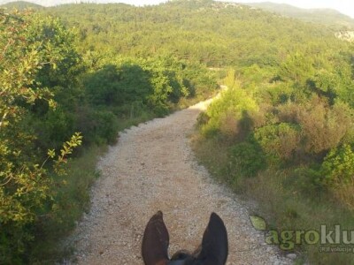 Štalar/kućni majstor