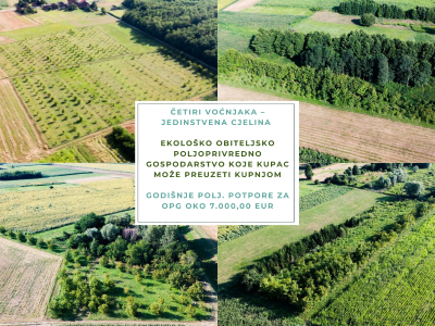 5.5 ha voćnjaka, 1500 stabala oraha, EKO OPG, osigurane polj.potpore