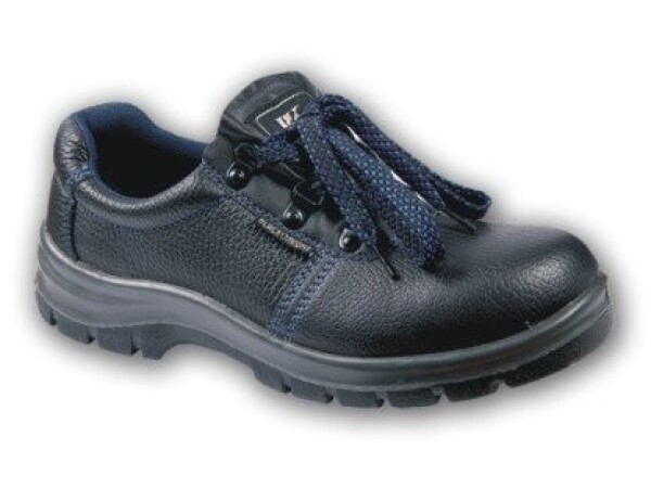 Radne Cipele Grison Plitke