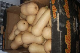 Butternut tikva
