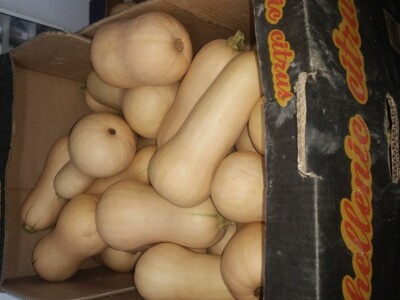 Butternut tikva