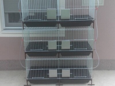 Kavezi za pilice i zeceve - Novi Sad